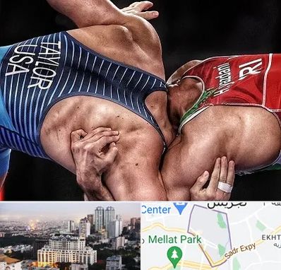 باشگاه کشتی در الهیه 