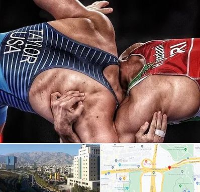 باشگاه کشتی در حقانی 