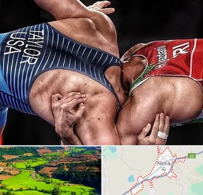 باشگاه کشتی در نکا