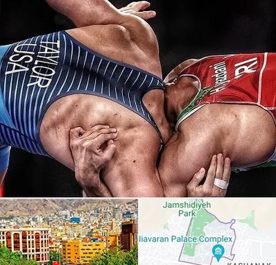 باشگاه کشتی در نیاوران 