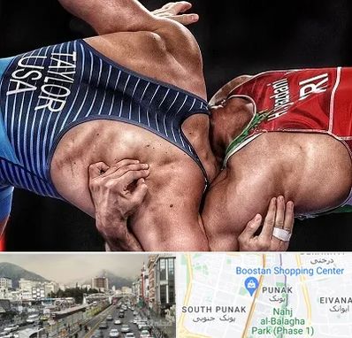 باشگاه کشتی در پونک 