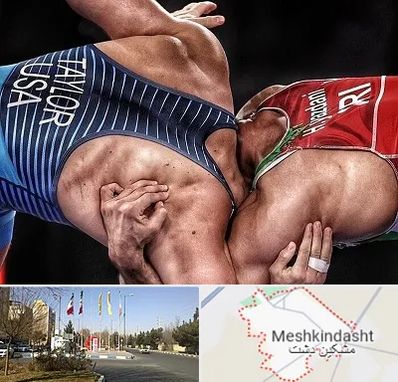 باشگاه کشتی در مشکین دشت