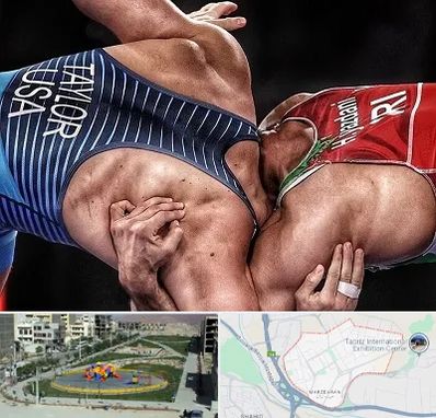 باشگاه کشتی در مرزداران تبریز