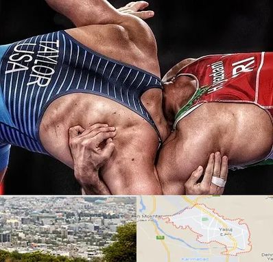 باشگاه کشتی در یاسوج