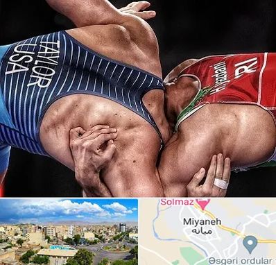 باشگاه کشتی در میانه