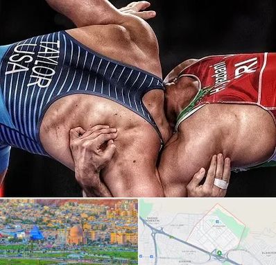 باشگاه کشتی در رشدیه تبریز