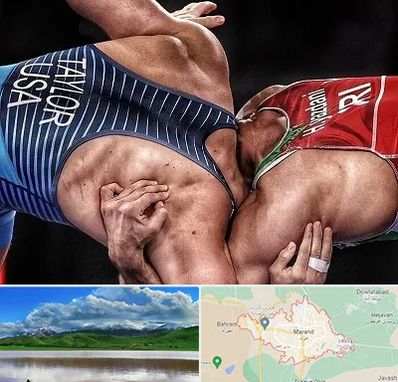 باشگاه کشتی در مرند