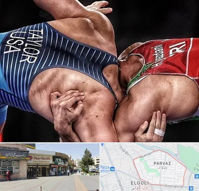 باشگاه کشتی در پرواز تبریز