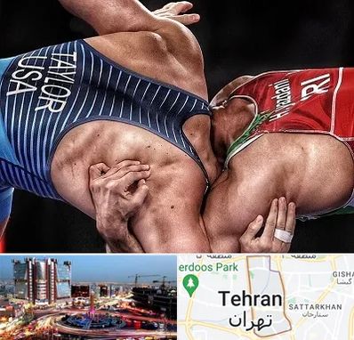 باشگاه کشتی در صادقیه 