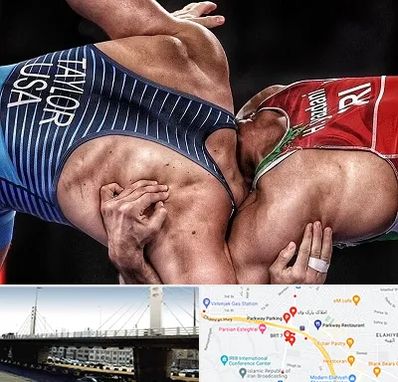 باشگاه کشتی در پارک وی 