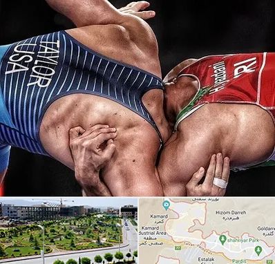 باشگاه کشتی در پردیس