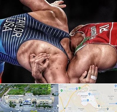 باشگاه کشتی در نسیم شهر