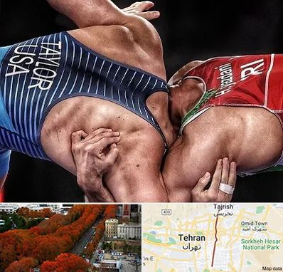 باشگاه کشتی در ولیعصر 