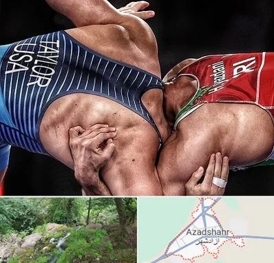 باشگاه کشتی در آزادشهر