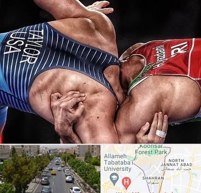 باشگاه کشتی در شهران 