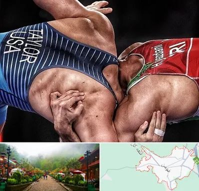 باشگاه کشتی در فومن