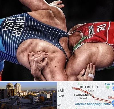 باشگاه کشتی در فرمانیه 