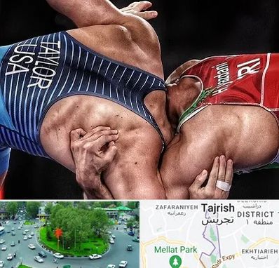 باشگاه کشتی در تجریش 