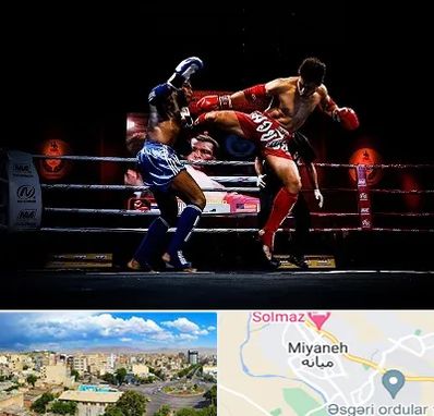 باشگاه موی تای در میانه