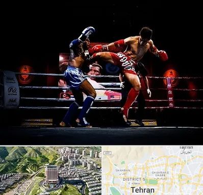 باشگاه موی تای در شمال تهران 