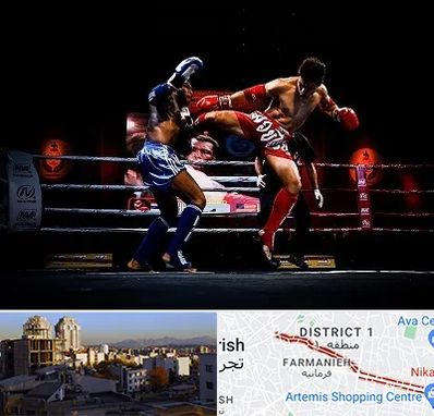 باشگاه موی تای در فرمانیه 