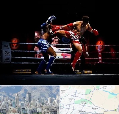 باشگاه موی تای در شمال شرق تهران