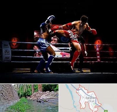 باشگاه موی تای در سراوان