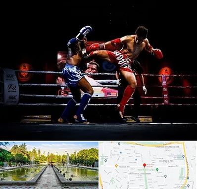 باشگاه موی تای در سرسبز 