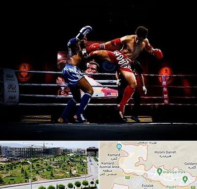 باشگاه موی تای در پردیس