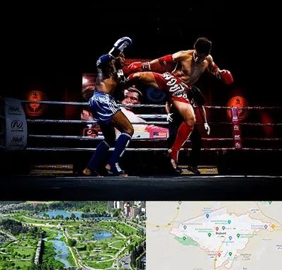 باشگاه موی تای در بجنورد