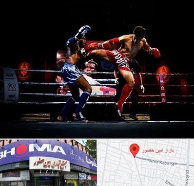 باشگاه موی تای در امین حضور