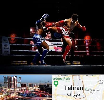 باشگاه موی تای در صادقیه 