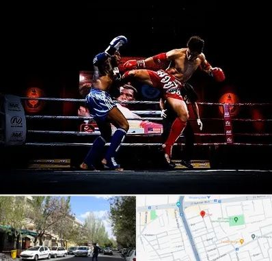 باشگاه موی تای در کوی فیروز تبریز