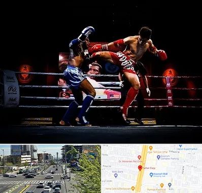 باشگاه موی تای در ستاری 