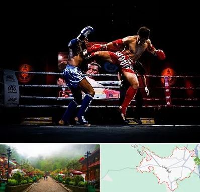 باشگاه موی تای در فومن