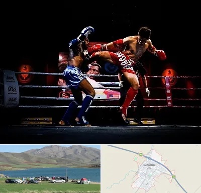 باشگاه موی تای در دهگلان