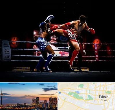 باشگاه موی تای در غرب تهران 