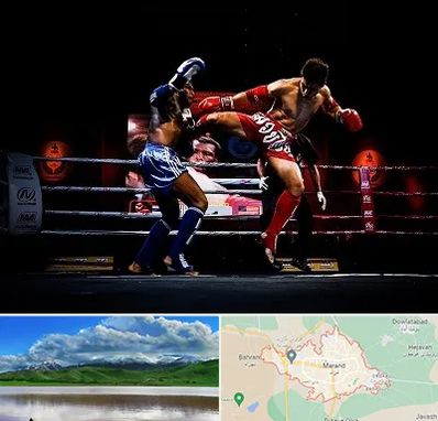 باشگاه موی تای در مرند