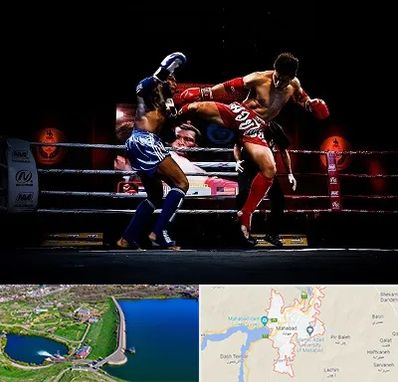 باشگاه موی تای در مهاباد