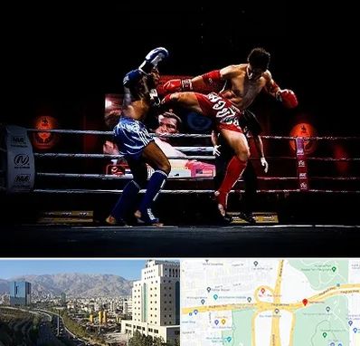 باشگاه موی تای در حقانی 