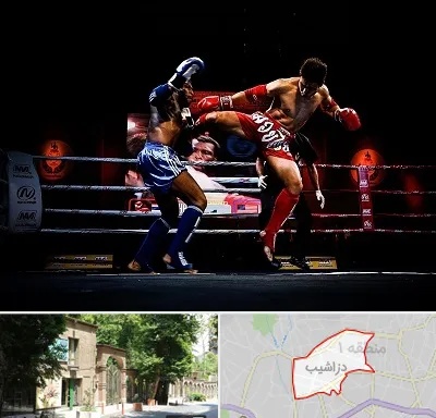 باشگاه موی تای در دزاشیب