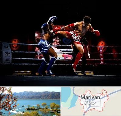 باشگاه موی تای در مریوان