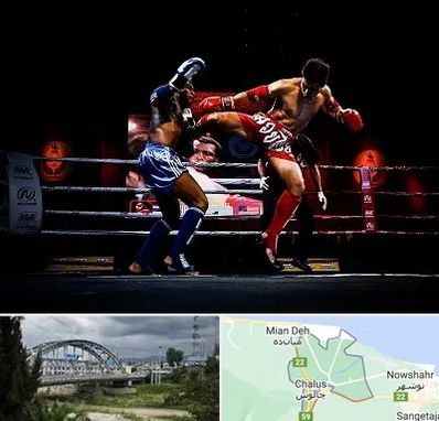 باشگاه موی تای در چالوس