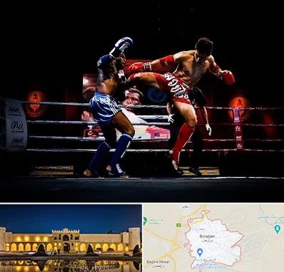 باشگاه موی تای در برازجان