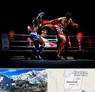 باشگاه موی تای در شمشک