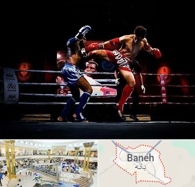 باشگاه موی تای در بانه