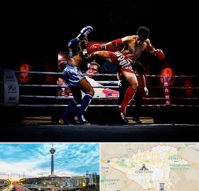 باشگاه موی تای در تهران