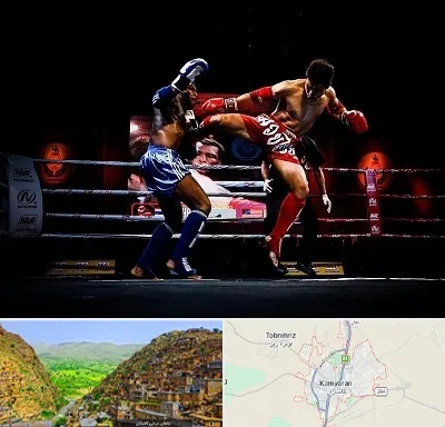 باشگاه موی تای در کامیاران