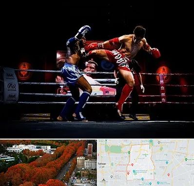 باشگاه موی تای در منطقه 6 تهران 