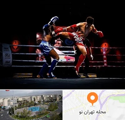 باشگاه موی تای در تهران نو